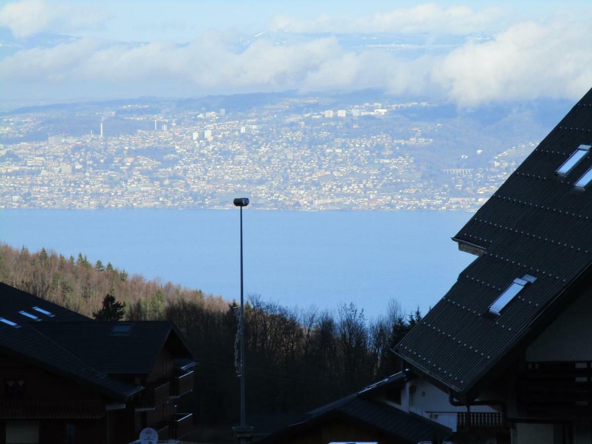 Thollon-les-Memises Chalet Le Telemark מראה חיצוני תמונה