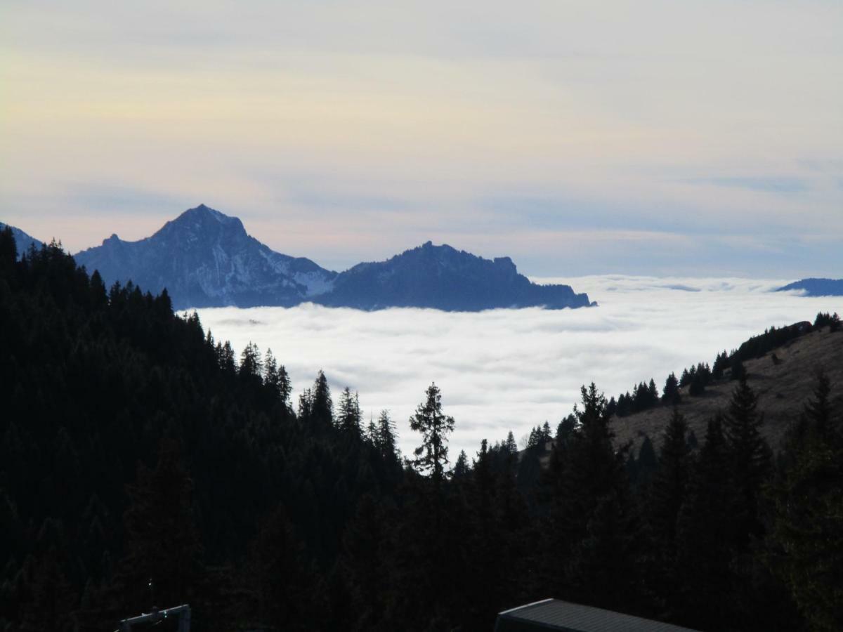Thollon-les-Memises Chalet Le Telemark מראה חיצוני תמונה