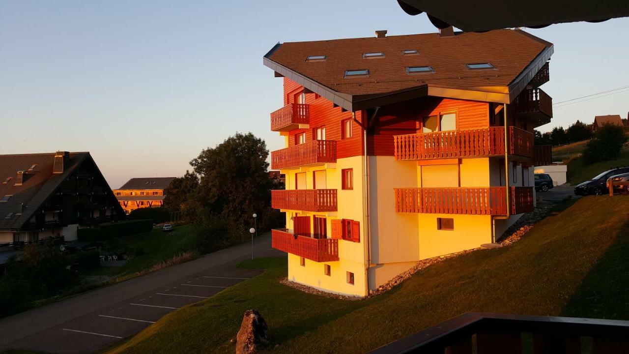 Thollon-les-Memises Chalet Le Telemark מראה חיצוני תמונה