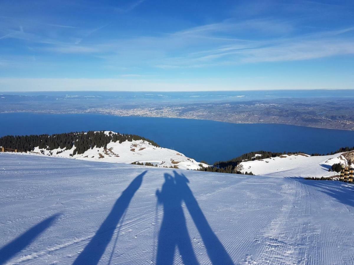 Thollon-les-Memises Chalet Le Telemark מראה חיצוני תמונה