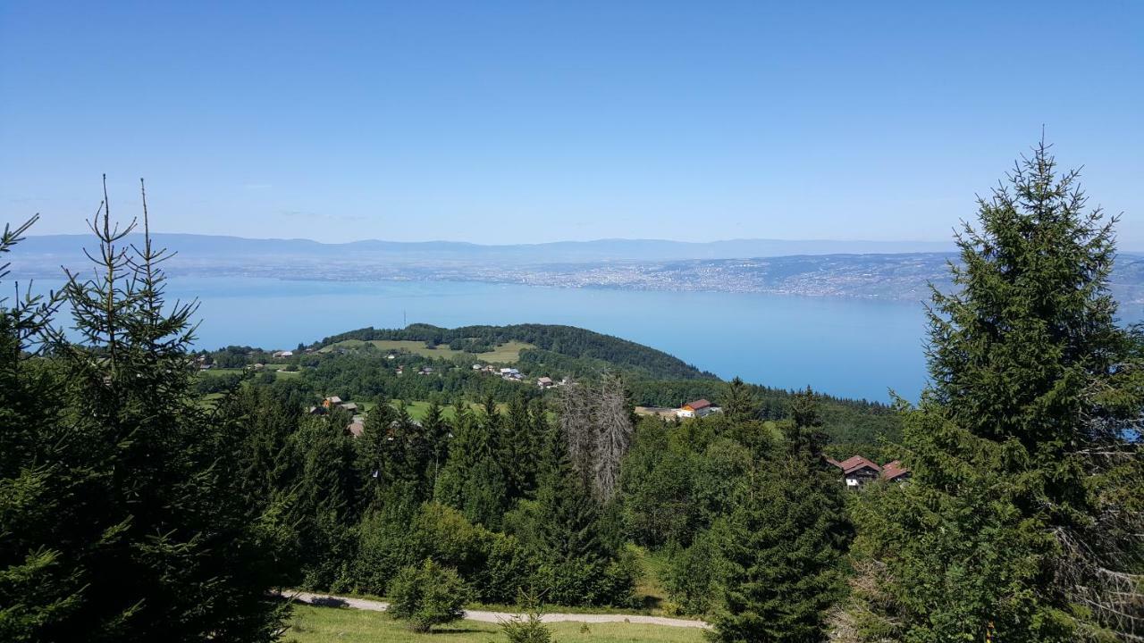 Thollon-les-Memises Chalet Le Telemark מראה חיצוני תמונה