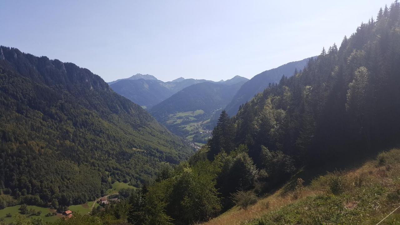 Thollon-les-Memises Chalet Le Telemark מראה חיצוני תמונה